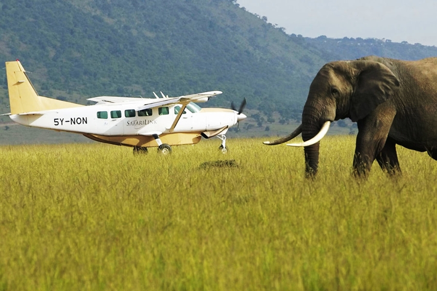 2 Days Air Safari - Masai Mara